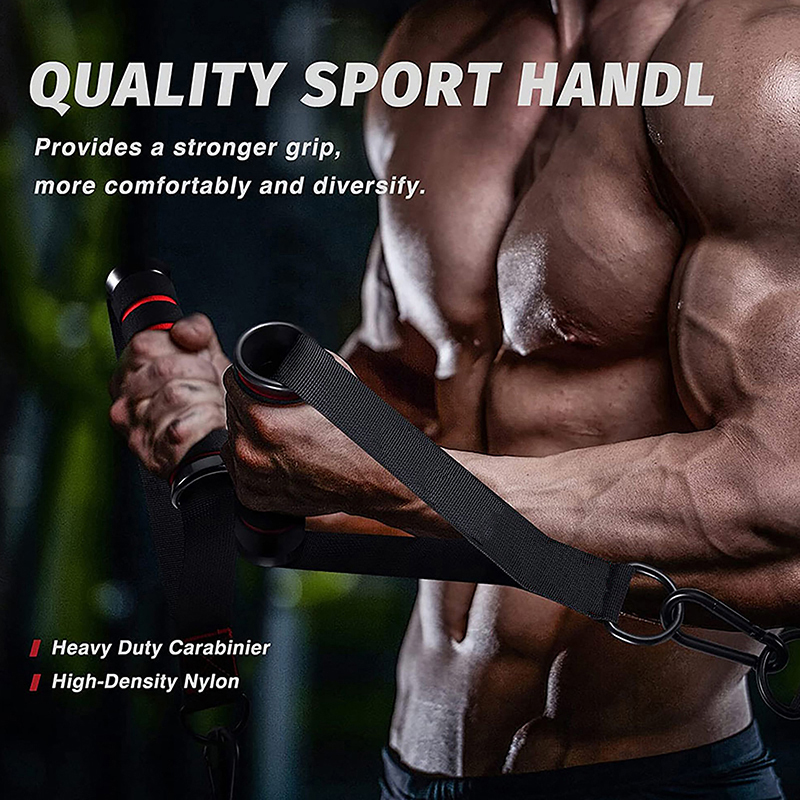 1Set D-Ring Metal Gym Handles  - D Ring Strap 评论和价格